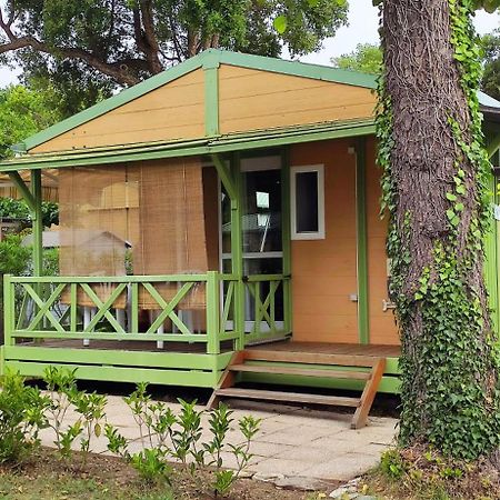 Casa Di Marina - Chalet Bungalow Hotel Sorbo-Ocagnano Eksteriør billede
